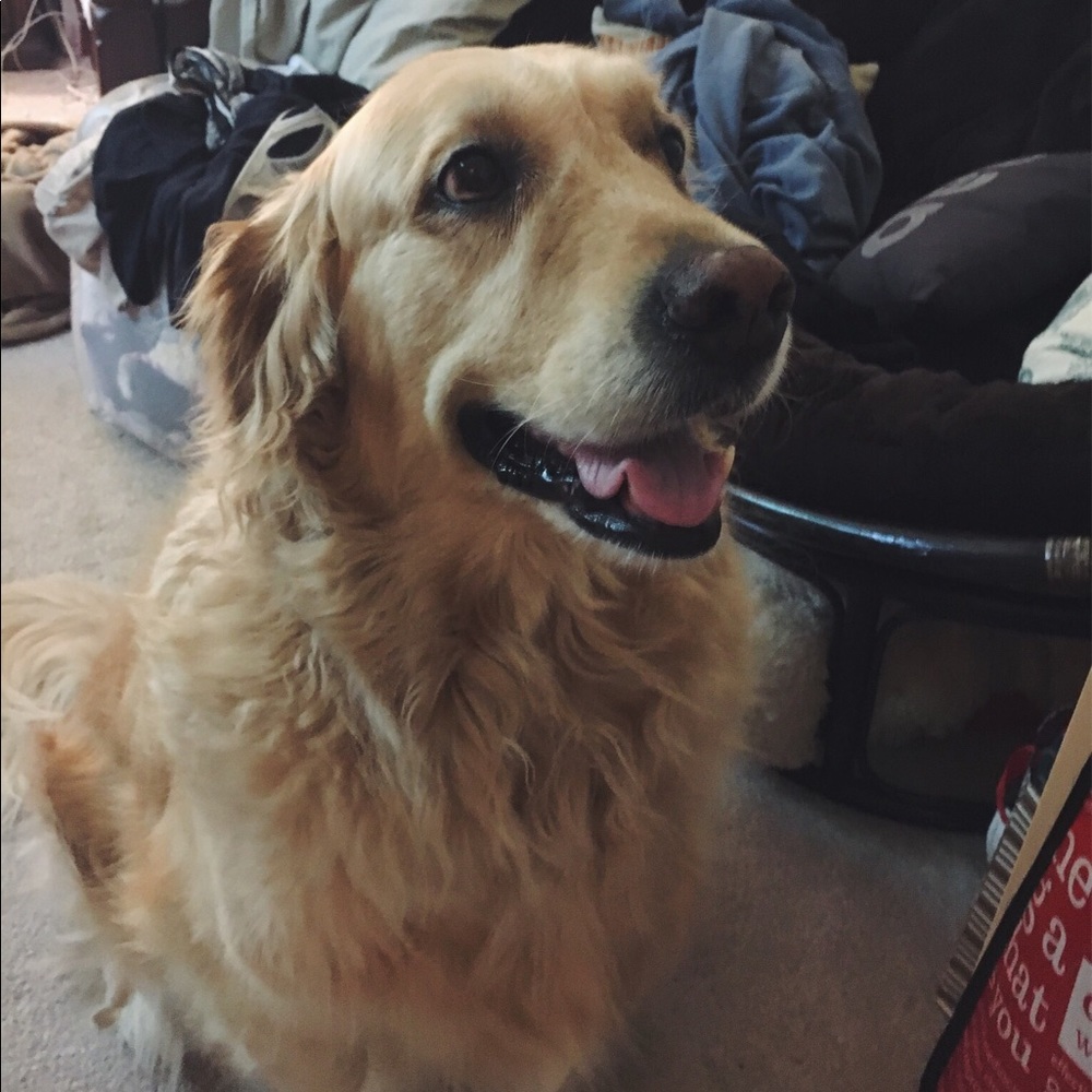 Meet your Posher, Evelyn